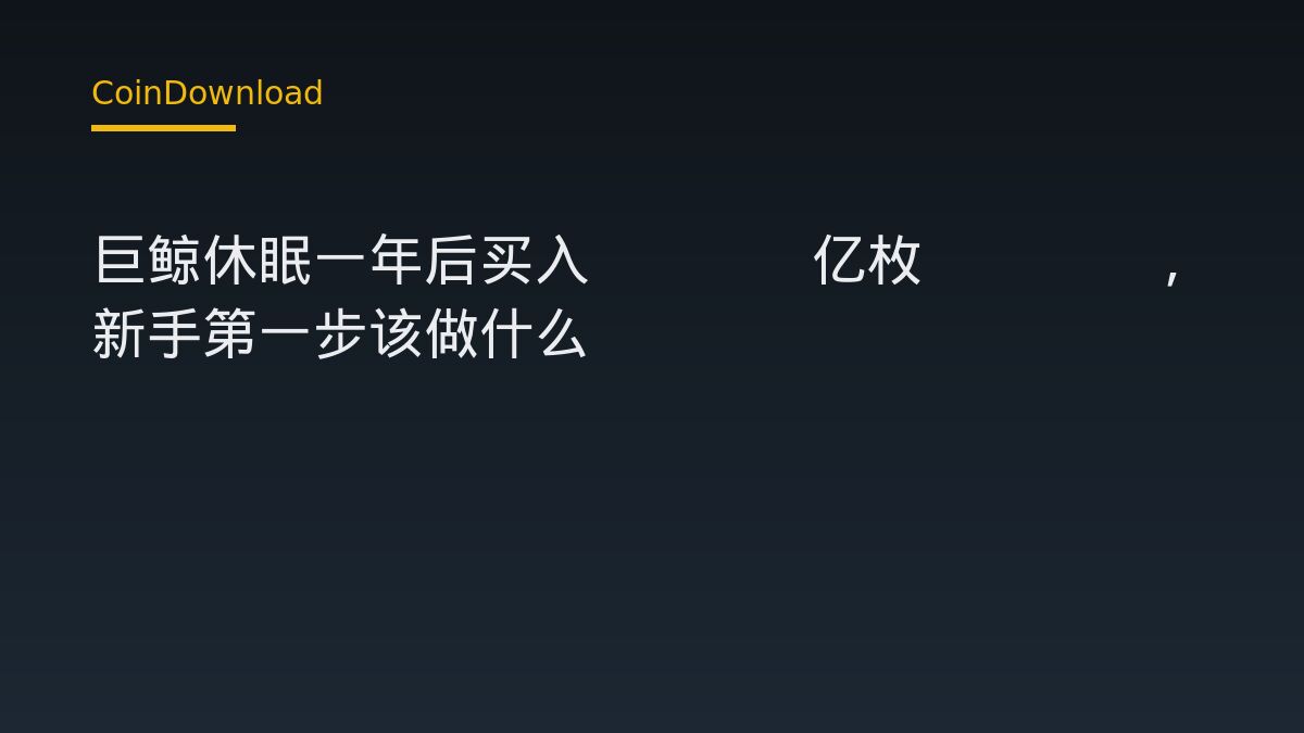 巨鲸休眠一年后买入3.83亿枚PUMP，新手第一步该做什么