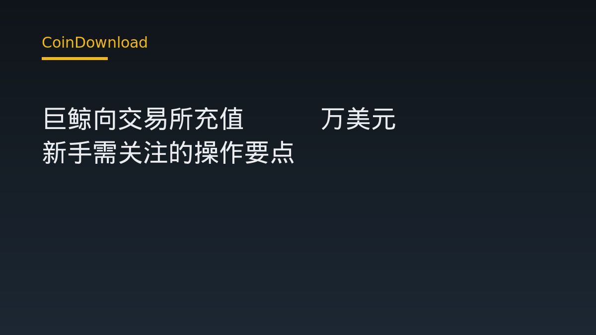 巨鲸向交易所充值648万美元HYPE 新手需关注的操作要点