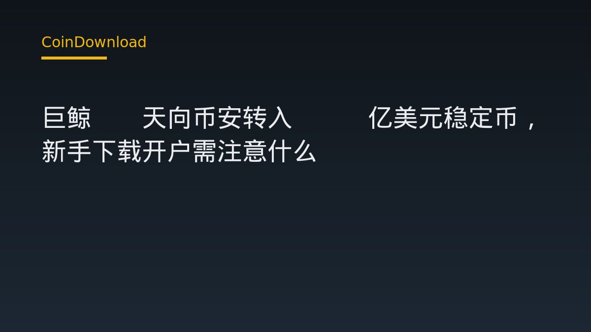 巨鲸30天向币安转入305亿美元稳定币，新手下载开户需注意什么