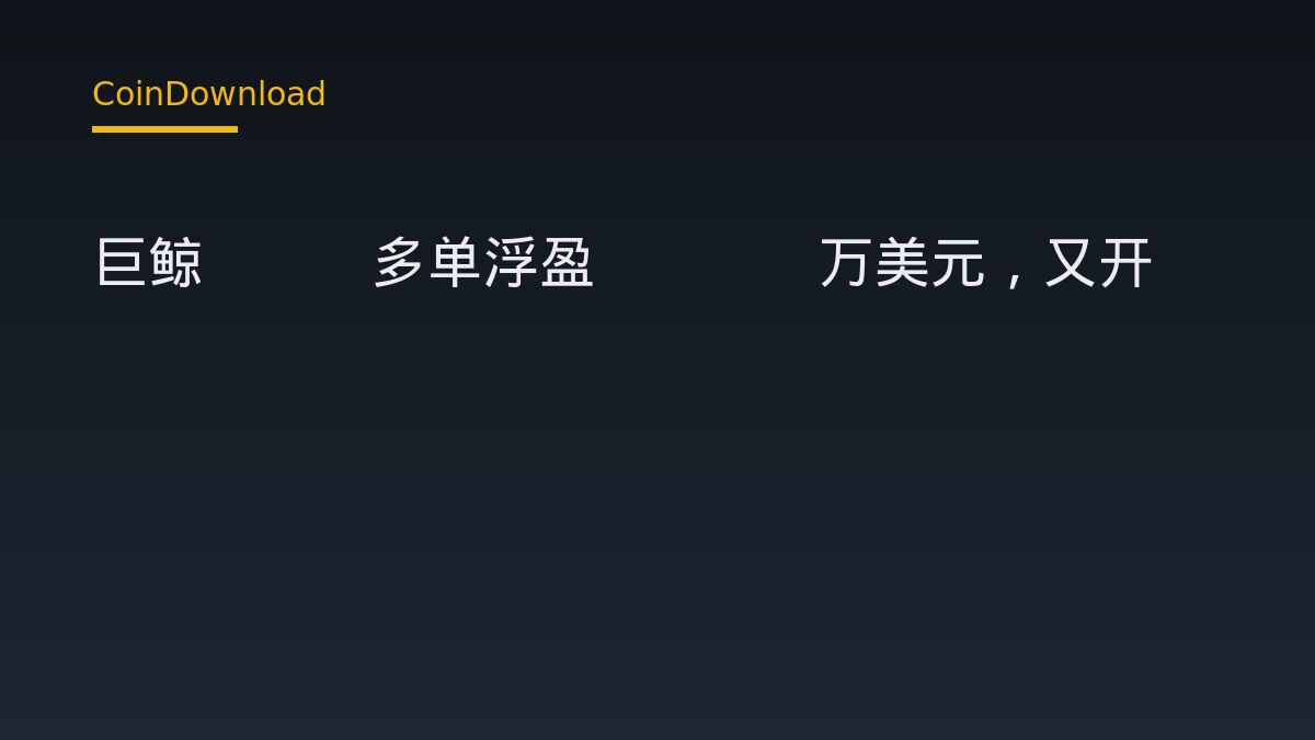 巨鲸ETH多单浮盈1406万美元，又开650枚BTC空单：新手必修的账户安全课