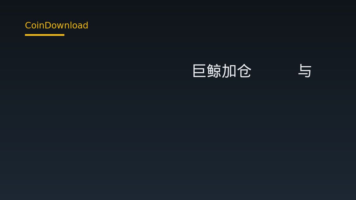 Hyperliquid巨鲸加仓BTC与ETH多单，新手该关注什么
